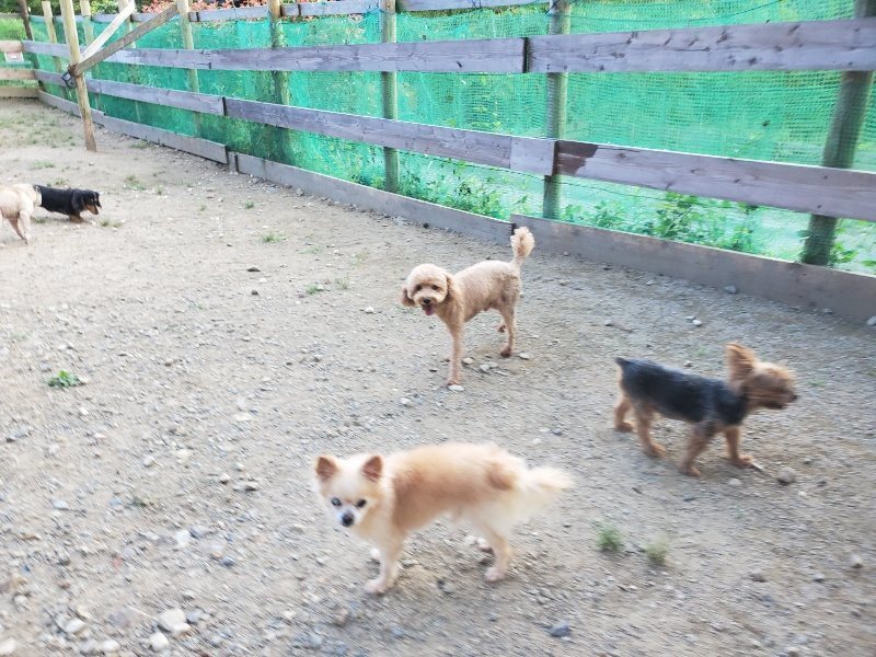 f:id:roukenhome-ann:20190917083248j:plain