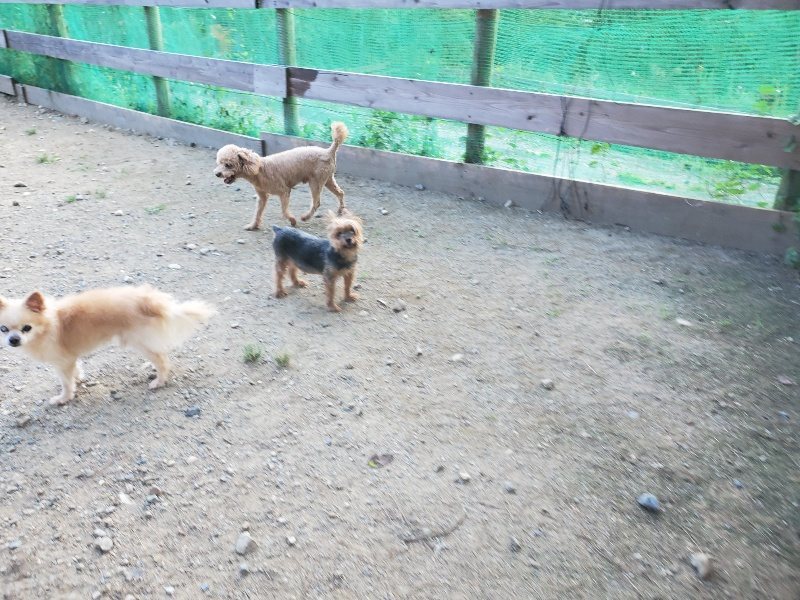 f:id:roukenhome-ann:20190917083254j:plain