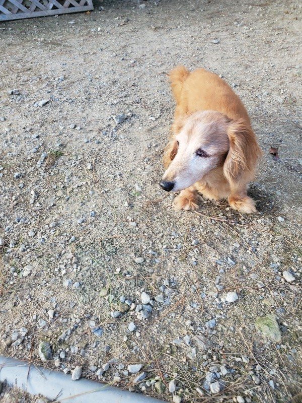 f:id:roukenhome-ann:20190917083354j:plain