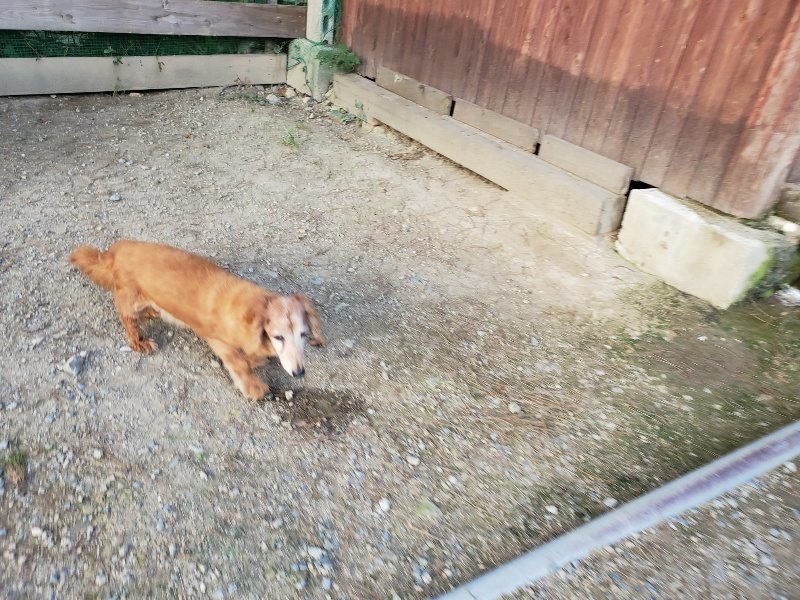 f:id:roukenhome-ann:20190917083402j:plain