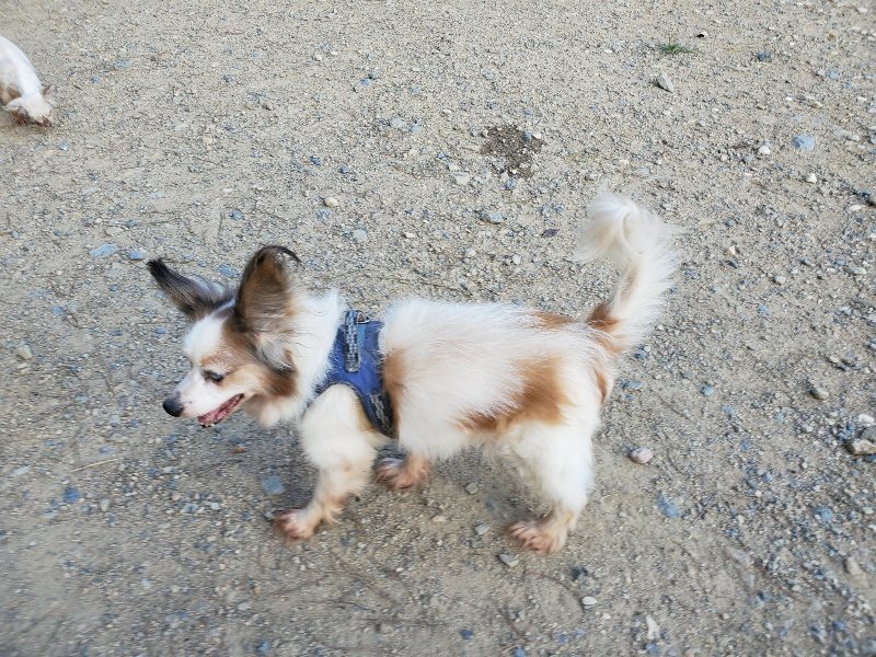 f:id:roukenhome-ann:20190917083413j:plain