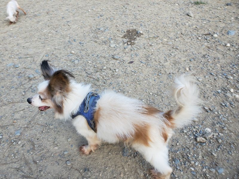 f:id:roukenhome-ann:20190917083418j:plain