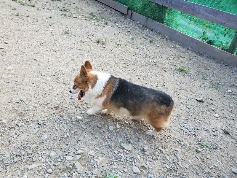 f:id:roukenhome-ann:20190917083429j:plain
