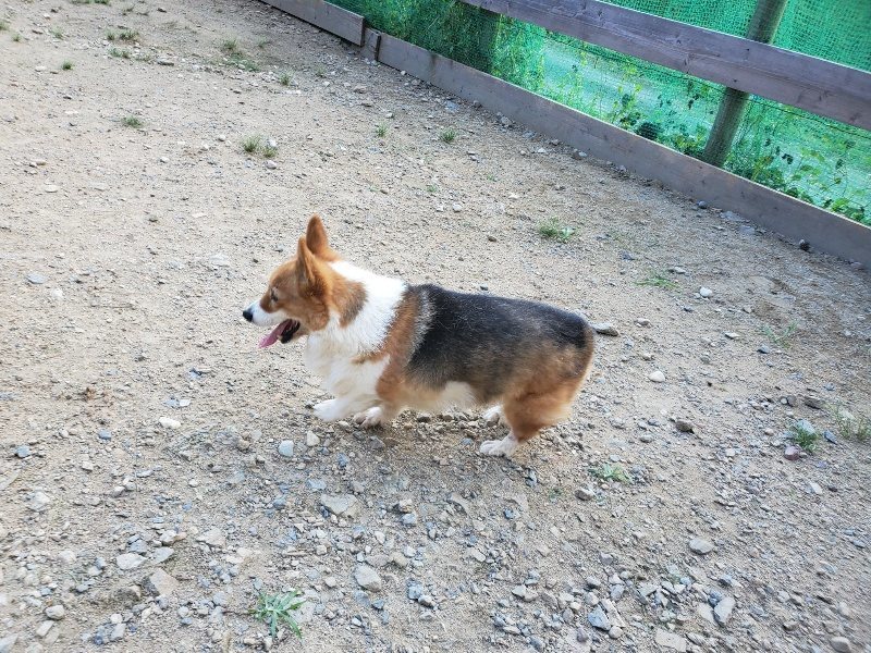 f:id:roukenhome-ann:20190917083436j:plain