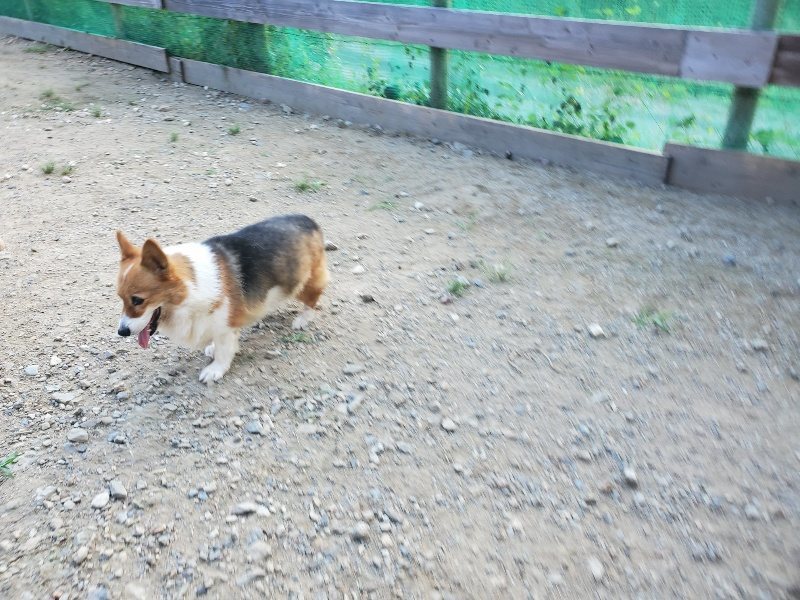 f:id:roukenhome-ann:20190917083454j:plain