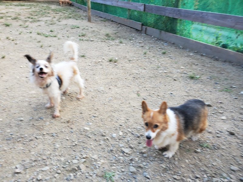 f:id:roukenhome-ann:20190917083459j:plain