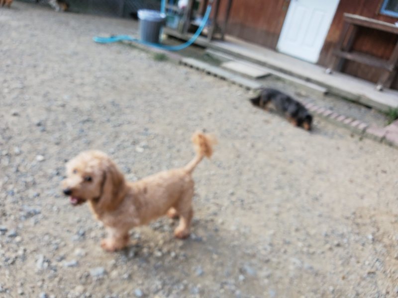f:id:roukenhome-ann:20190917083950j:plain