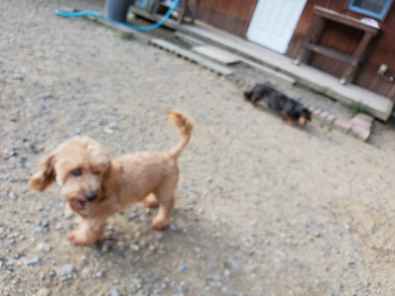 f:id:roukenhome-ann:20190917083954j:plain