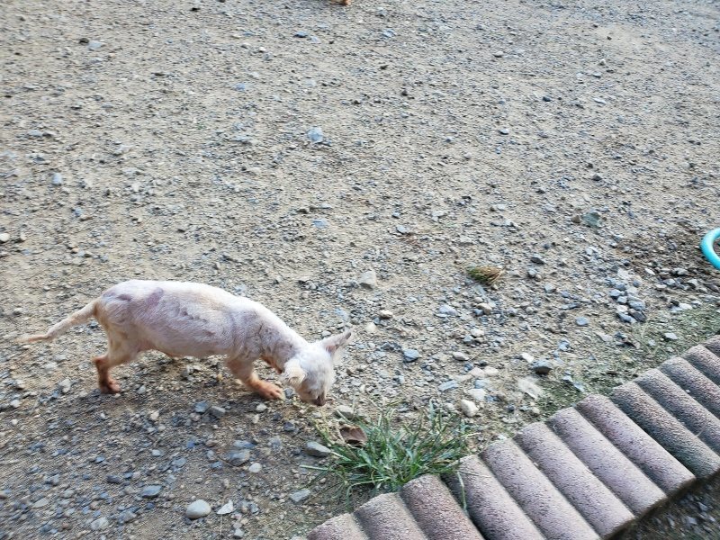 f:id:roukenhome-ann:20190917084018j:plain