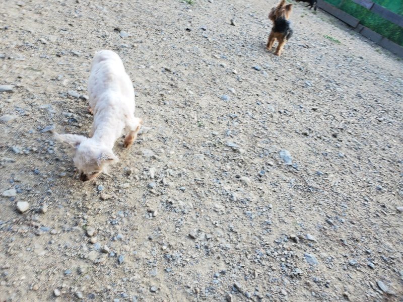 f:id:roukenhome-ann:20190917084041j:plain