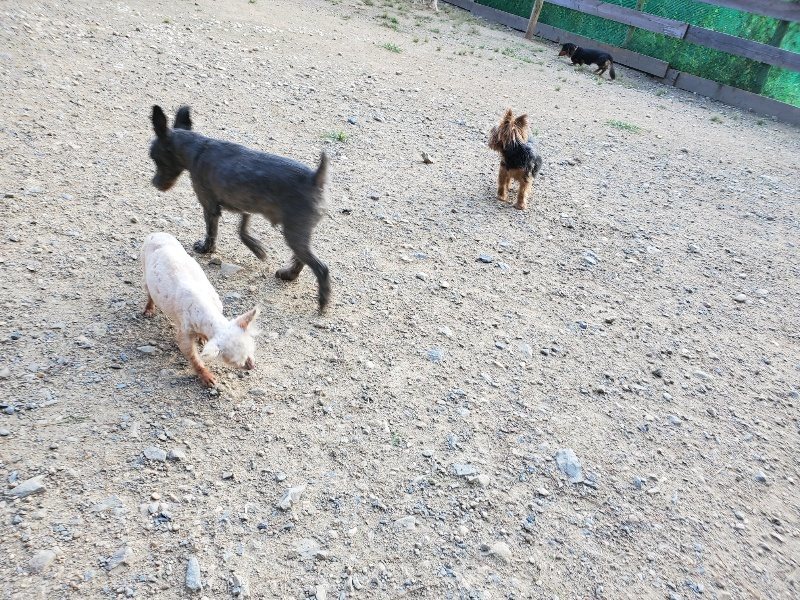 f:id:roukenhome-ann:20190917084046j:plain