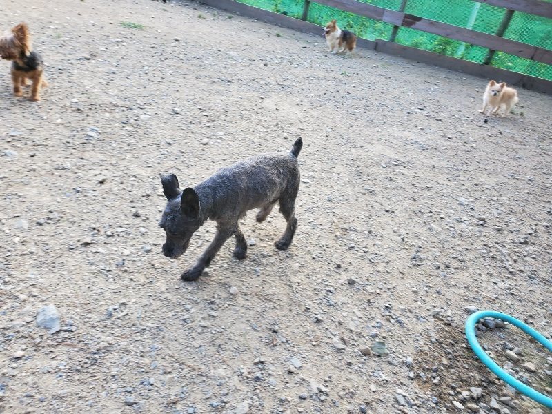 f:id:roukenhome-ann:20190917084053j:plain