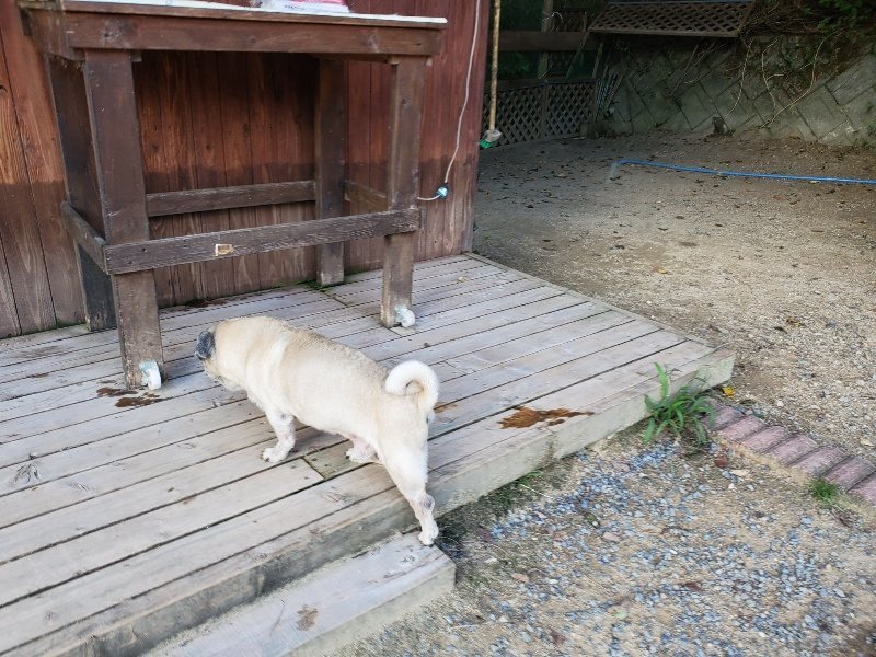 f:id:roukenhome-ann:20190917084131j:plain