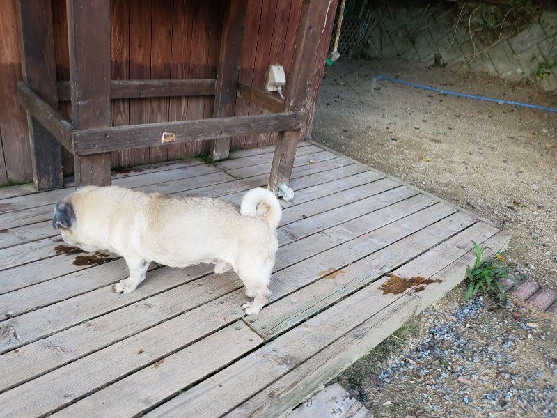 f:id:roukenhome-ann:20190917084136j:plain