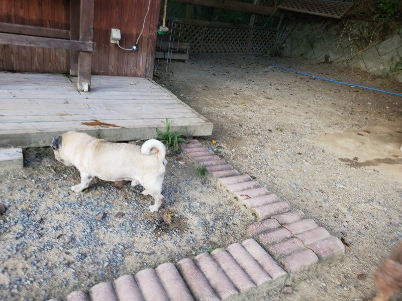 f:id:roukenhome-ann:20190917084142j:plain