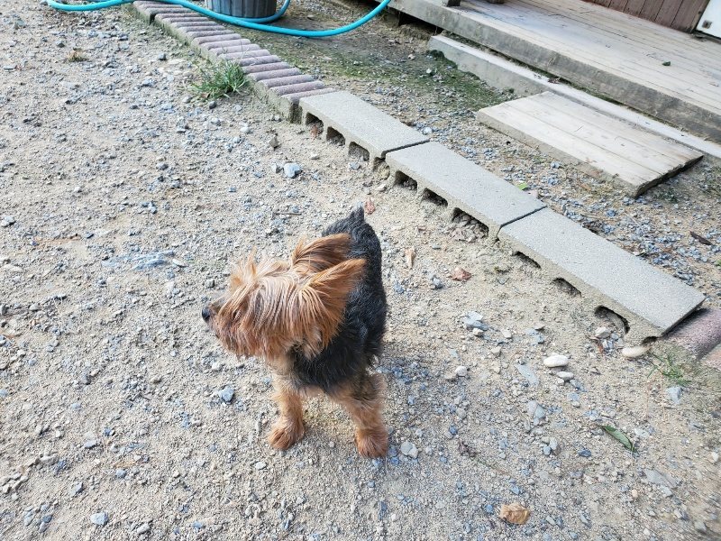f:id:roukenhome-ann:20190917084147j:plain