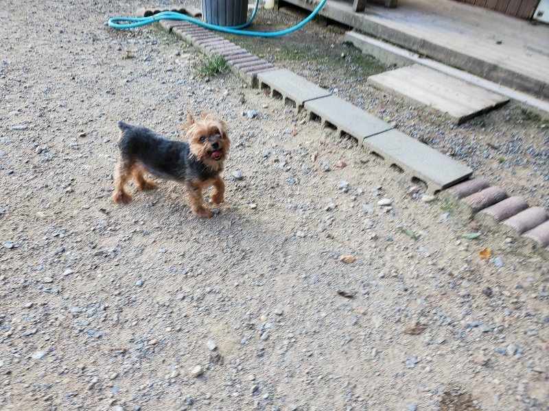 f:id:roukenhome-ann:20190917084153j:plain
