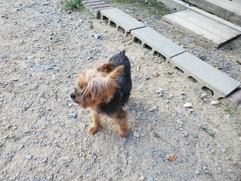f:id:roukenhome-ann:20190917084200j:plain