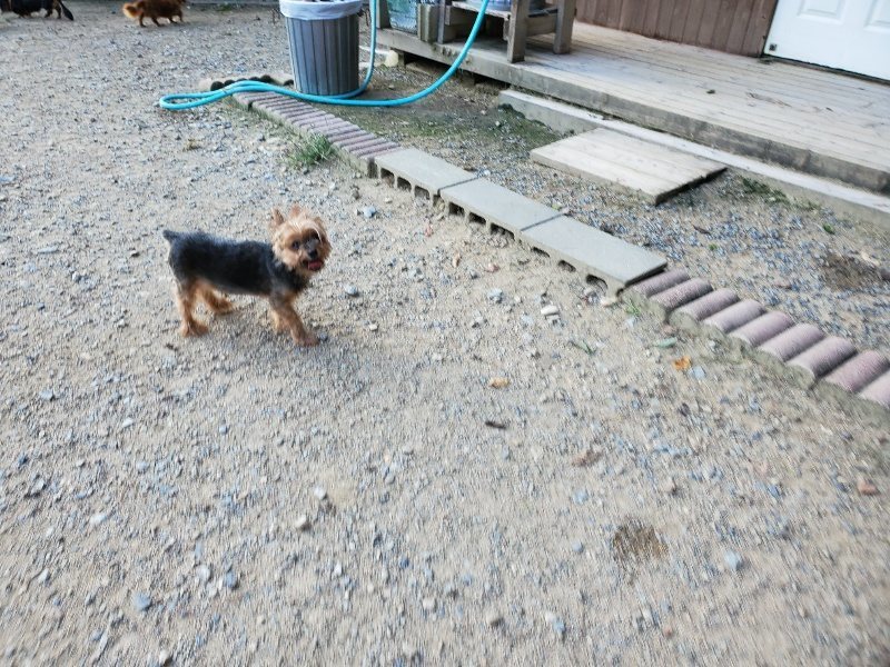 f:id:roukenhome-ann:20190917084207j:plain