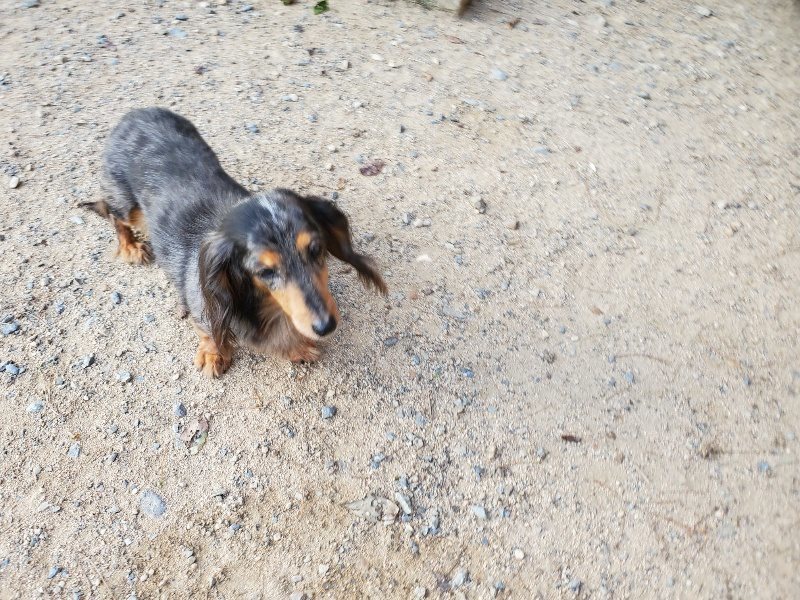 f:id:roukenhome-ann:20190917084214j:plain