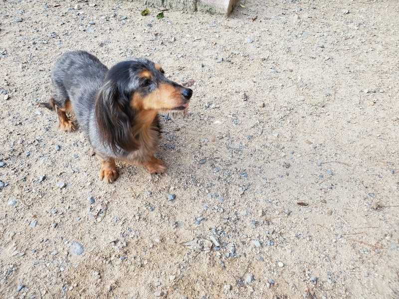 f:id:roukenhome-ann:20190917084220j:plain