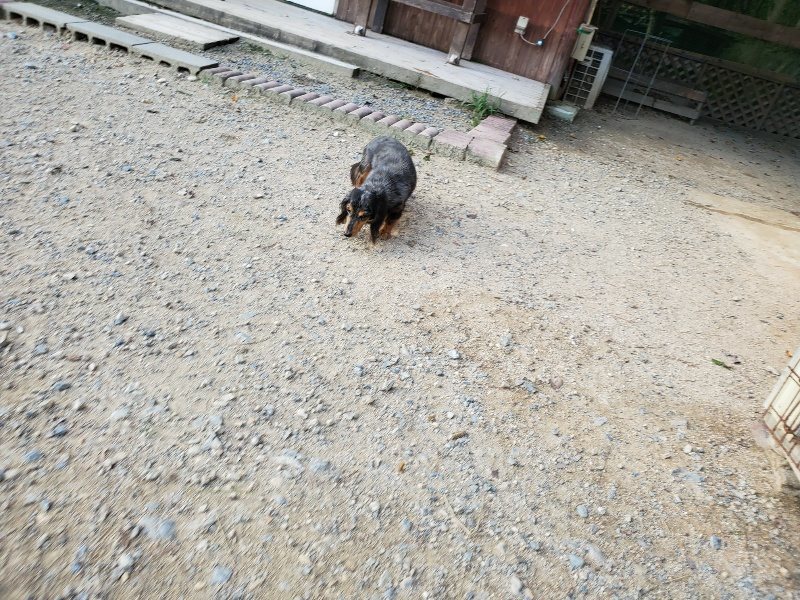 f:id:roukenhome-ann:20190917084230j:plain