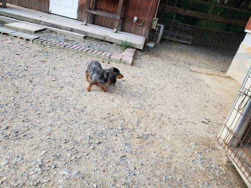 f:id:roukenhome-ann:20190917084236j:plain