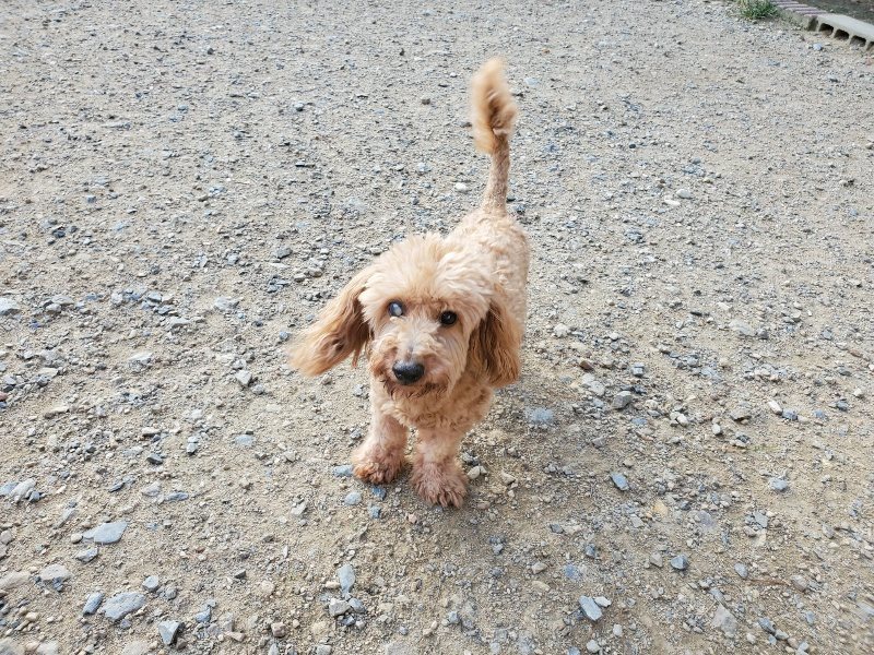 f:id:roukenhome-ann:20190917084242j:plain