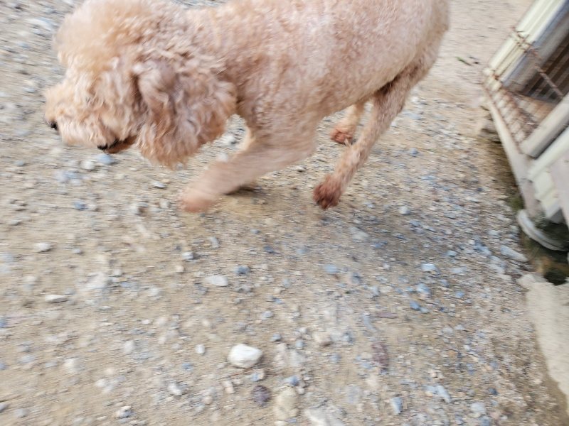 f:id:roukenhome-ann:20190917084246j:plain