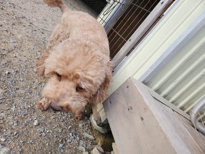 f:id:roukenhome-ann:20190917084252j:plain