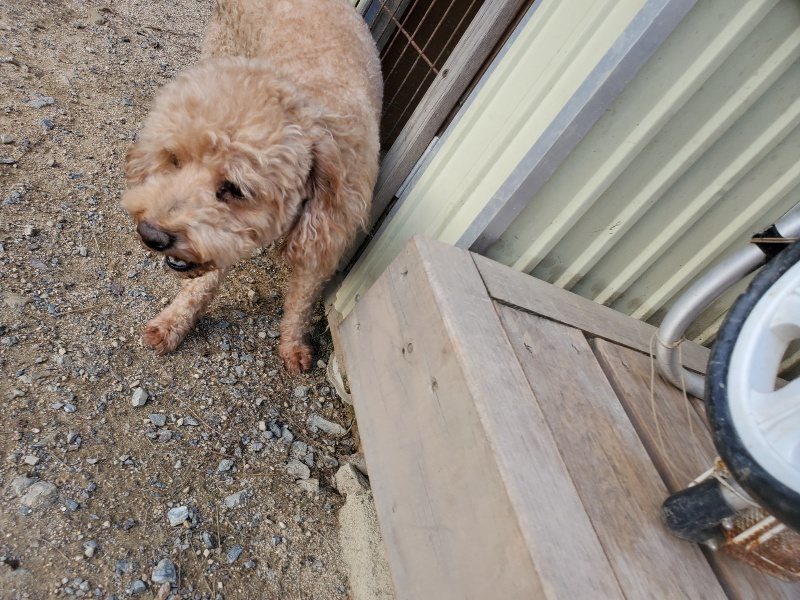 f:id:roukenhome-ann:20190917084302j:plain