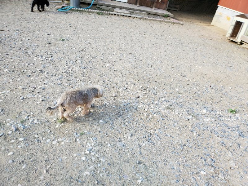 f:id:roukenhome-ann:20190917084355j:plain