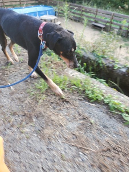 f:id:roukenhome-ann:20190917084404j:plain