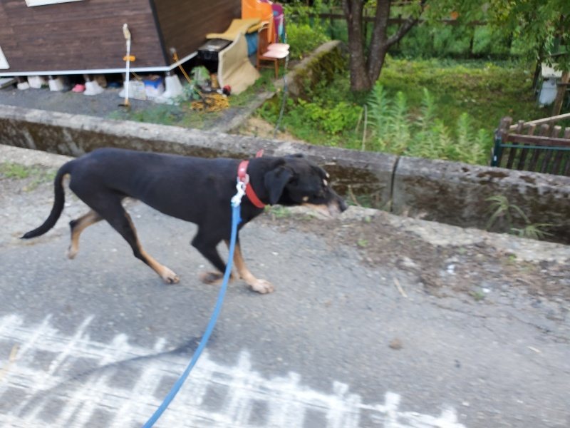 f:id:roukenhome-ann:20190917084429j:plain