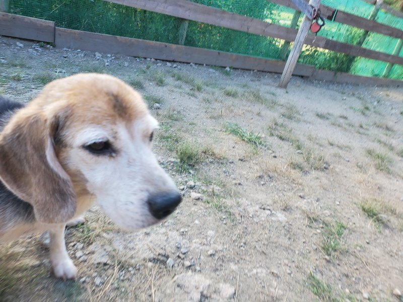 f:id:roukenhome-ann:20190917084438j:plain
