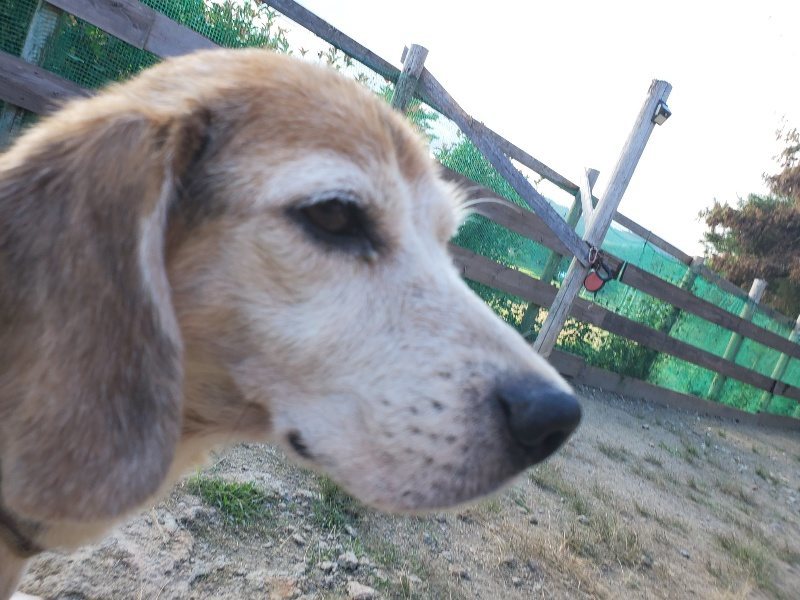 f:id:roukenhome-ann:20190917084442j:plain