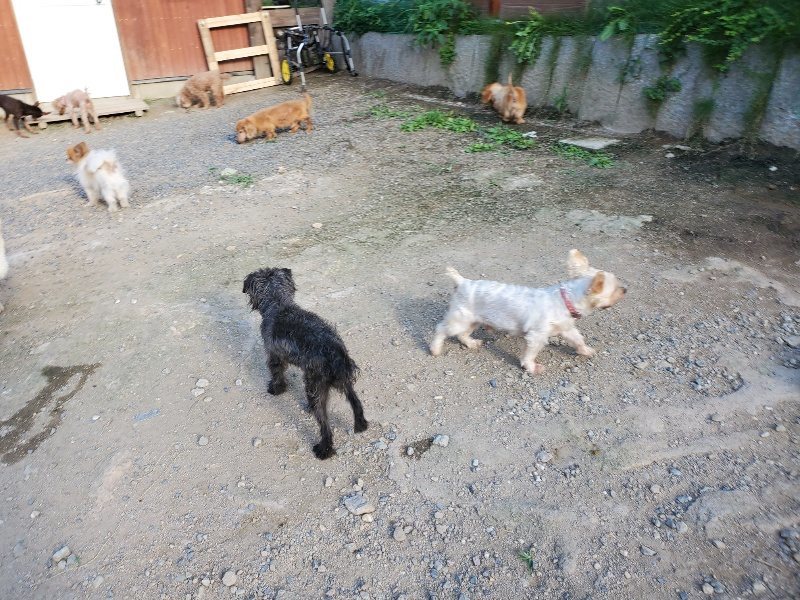 f:id:roukenhome-ann:20190917084447j:plain