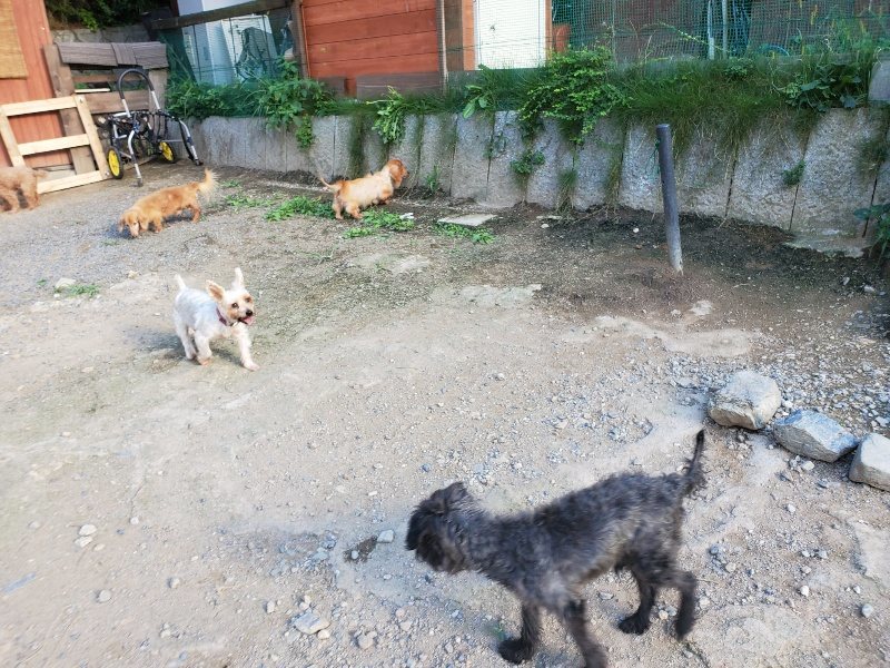 f:id:roukenhome-ann:20190917084452j:plain
