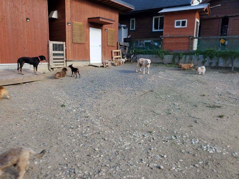f:id:roukenhome-ann:20190917084502j:plain