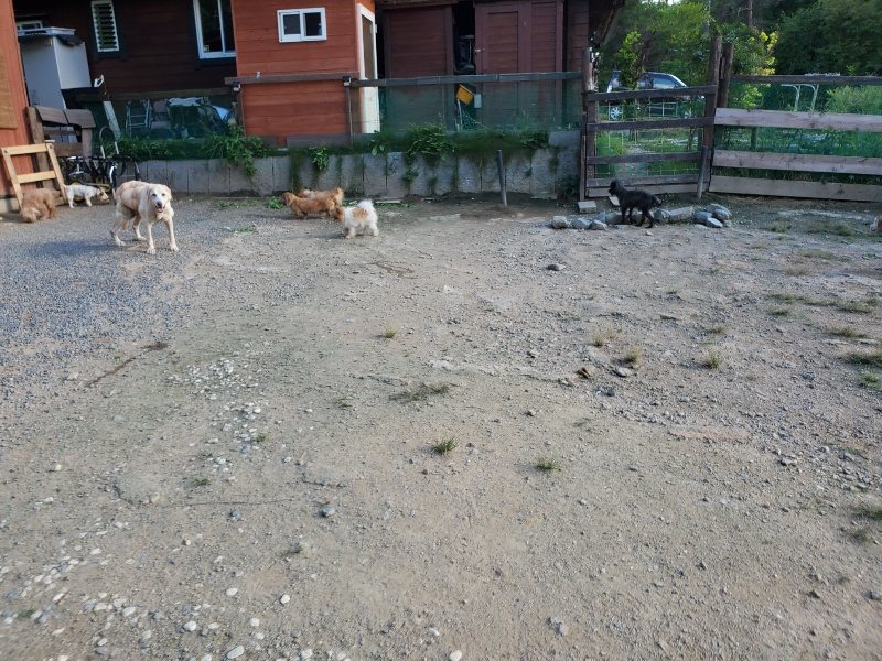 f:id:roukenhome-ann:20190917084511j:plain