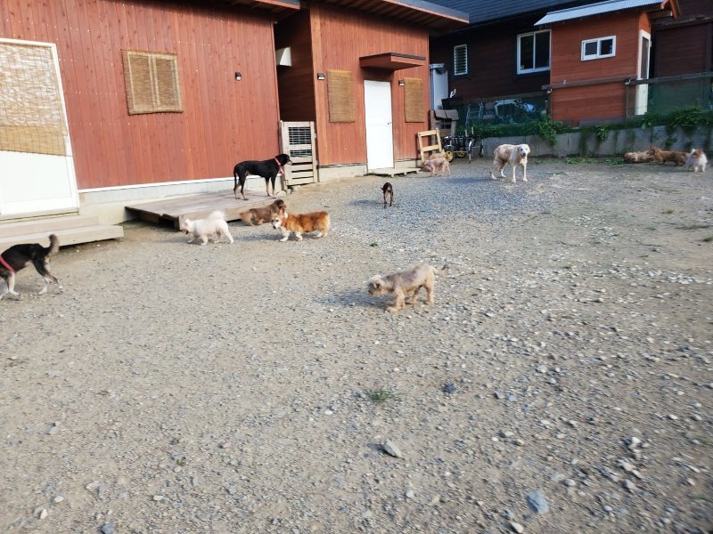 f:id:roukenhome-ann:20190917084522j:plain