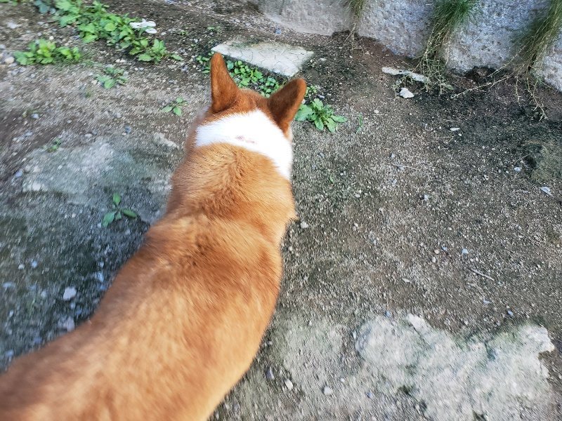 f:id:roukenhome-ann:20190917084821j:plain