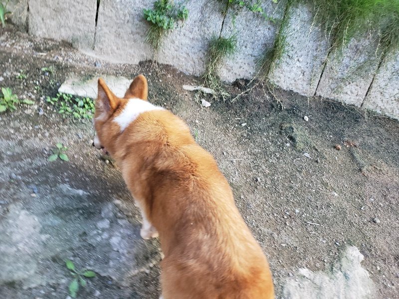 f:id:roukenhome-ann:20190917084828j:plain