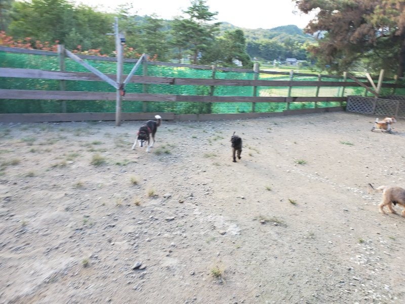 f:id:roukenhome-ann:20190917084843j:plain