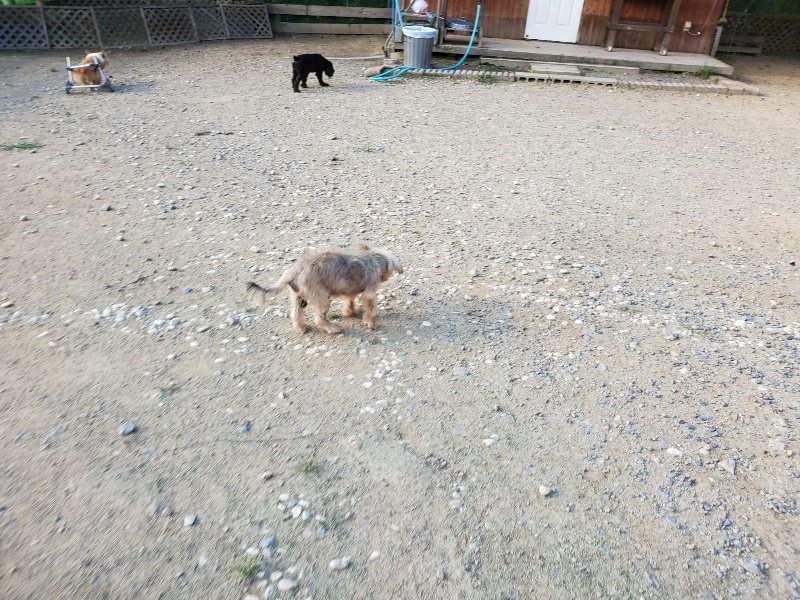 f:id:roukenhome-ann:20190917084848j:plain