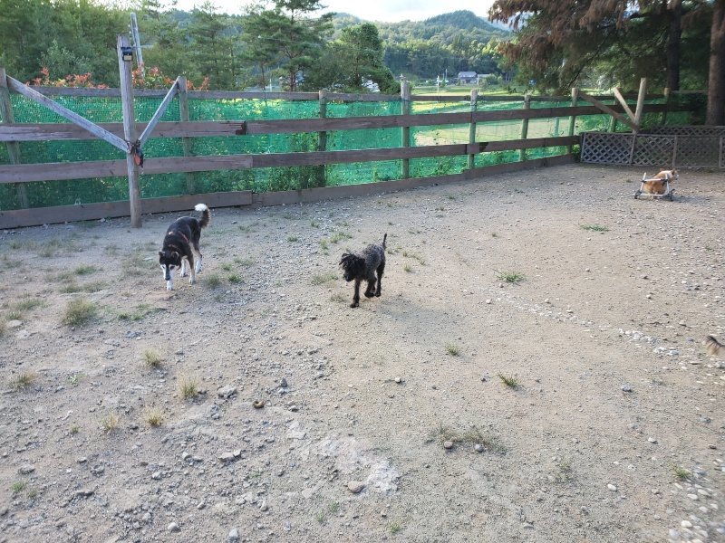 f:id:roukenhome-ann:20190917084854j:plain