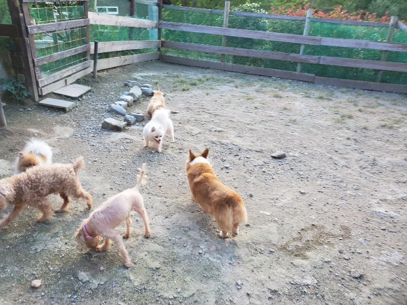 f:id:roukenhome-ann:20190917084903j:plain