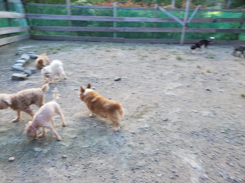 f:id:roukenhome-ann:20190917084908j:plain