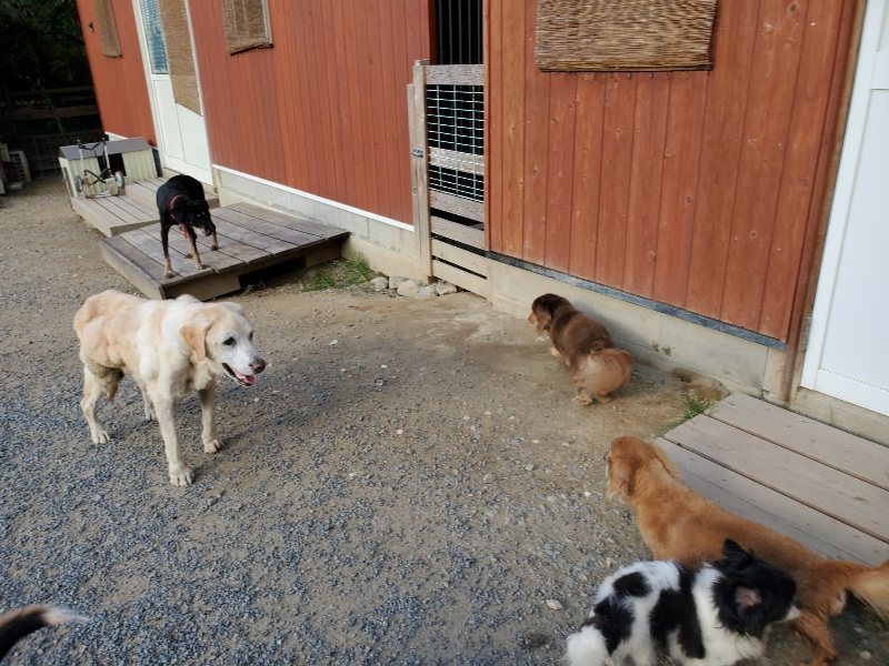 f:id:roukenhome-ann:20190917084915j:plain