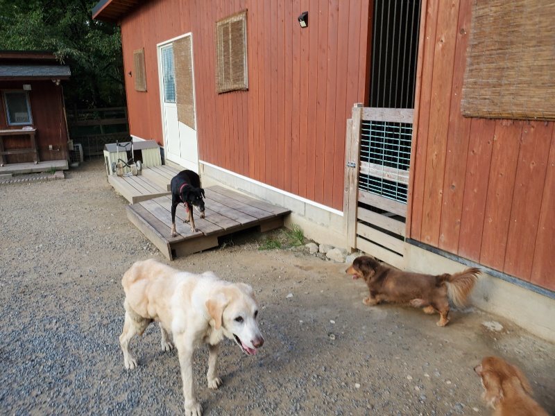 f:id:roukenhome-ann:20190917084921j:plain